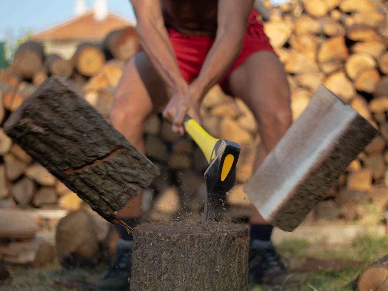 Tree Removal for Businesses in Pleasant Valley, MO